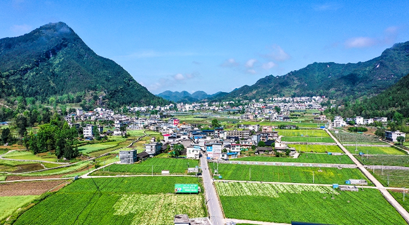 1 图为省道303沿线甘溪镇毛田农场蔬菜基地.jpg