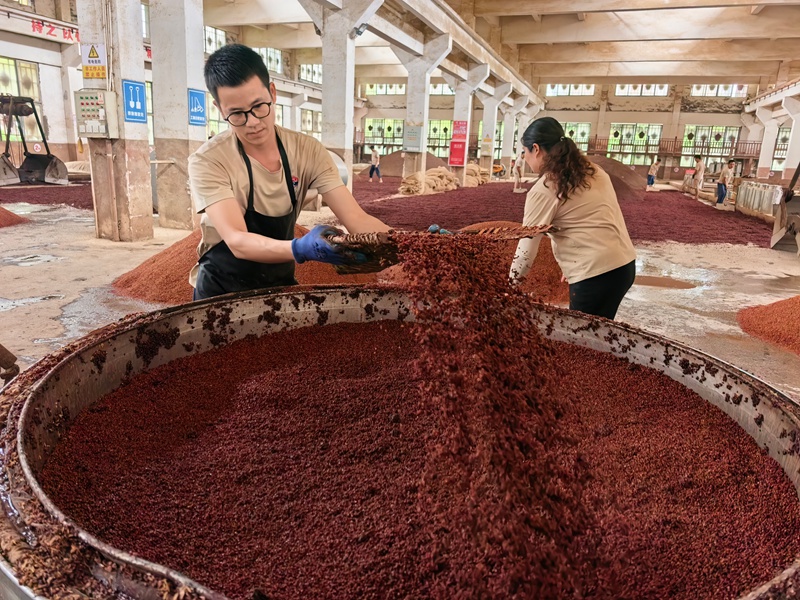 7、汉台酒业酿酒工人正在上甑。