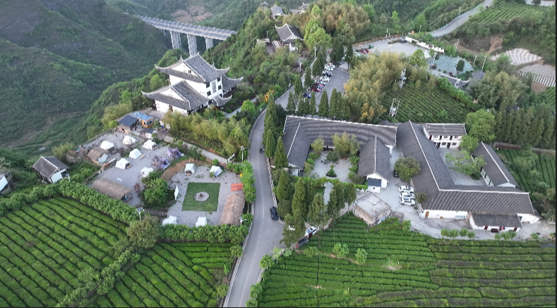 图为：云山茶海