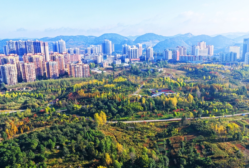 2026年10月15日，正值秋色最佳观赏期，贵州省毕节市威宁彝族回族苗族自治县草海北坡生态公园金黄、深橙的树叶层层叠叠，与县城及远处碧波荡漾的草海相映成趣，美丽至极。