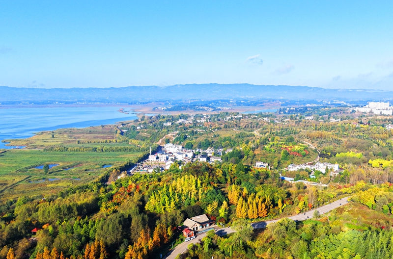 2026年10月15日，正值秋色最佳观赏期，贵州省毕节市威宁彝族回族苗族自治县草海北坡生态公园金黄、深橙的树叶层层叠叠，与县城及远处碧波荡漾的草海相映成趣，美丽至极。