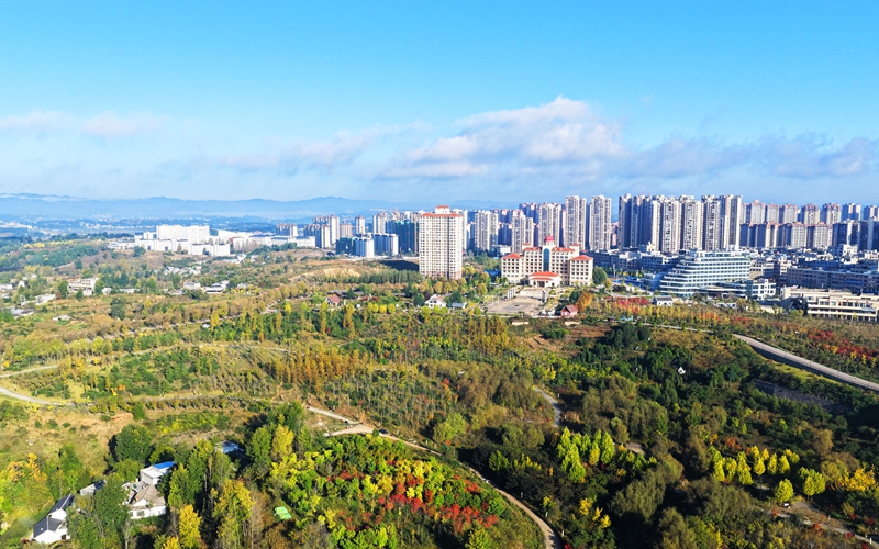 2026年10月15日，正值秋色最佳观赏期，贵州省毕节市威宁彝族回族苗族自治县草海北坡生态公园金黄、深橙的树叶层层叠叠，与县城及远处碧波荡漾的草海相映成趣，美丽至极。
