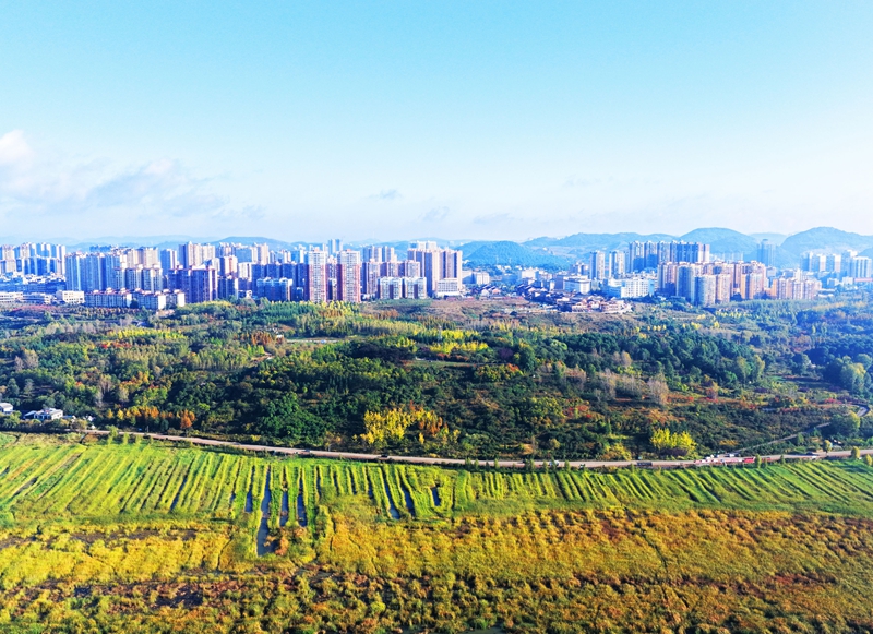 2026年10月15日，正值秋色最佳观赏期，贵州省毕节市威宁彝族回族苗族自治县草海北坡生态公园金黄、深橙的树叶层层叠叠，与县城及远处碧波荡漾的草海相映成趣，美丽至极。