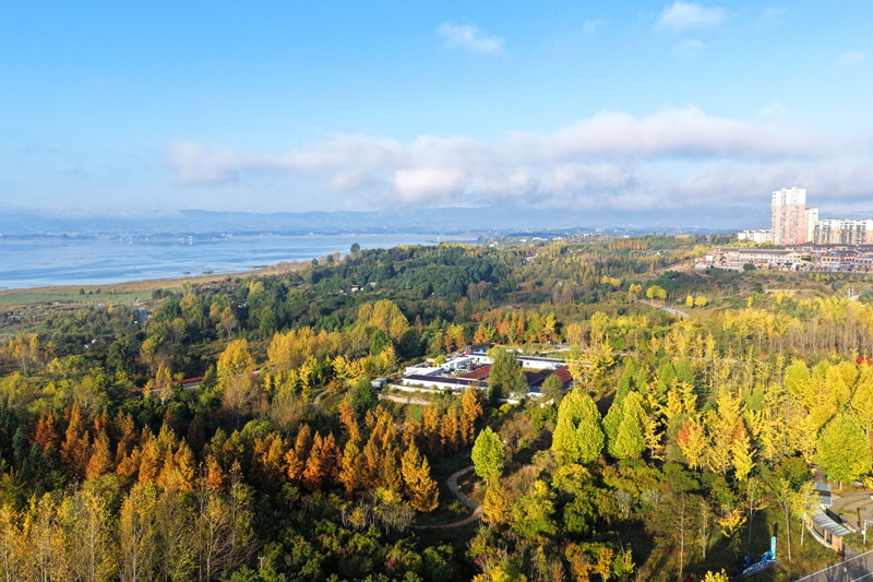 2026年10月15日，正值秋色最佳观赏期，贵州省毕节市威宁彝族回族苗族自治县草海北坡生态公园金黄、深橙的树叶层层叠叠，与县城及远处碧波荡漾的草海相映成趣，美丽至极。