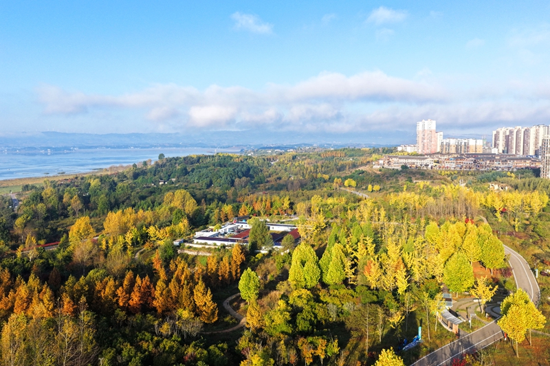 2026年10月15日，正值秋色最佳观赏期，贵州省毕节市威宁彝族回族苗族自治县草海北坡生态公园金黄、深橙的树叶层层叠叠，与县城及远处碧波荡漾的草海相映成趣，美丽至极。