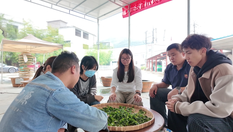 2 图为学生体验制茶