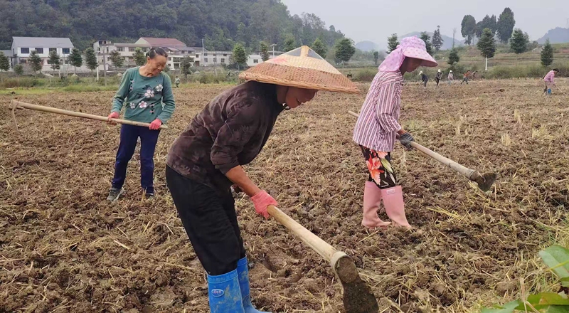 村级零工服务点助群众就近灵活务工增收.jpg