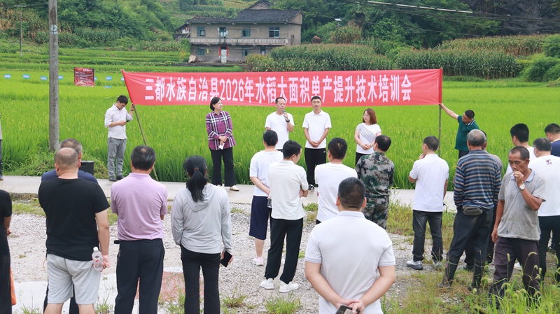 田間課堂傳農技 (2)