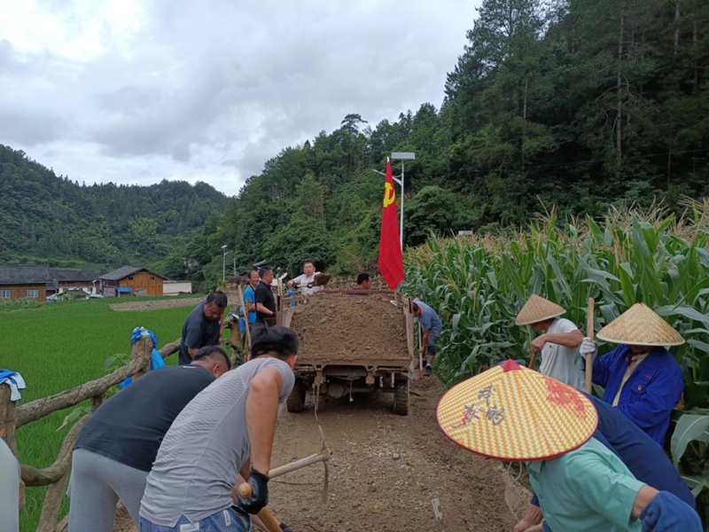 5 图为在通组路上新安装太阳能路灯。.jpg