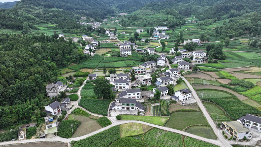息烽“三農”這五年。
