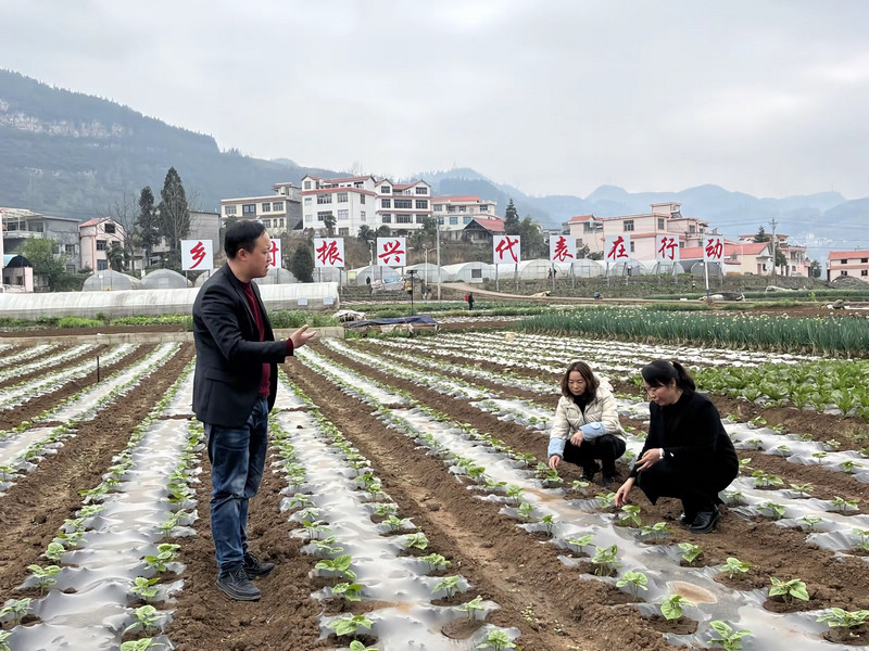 钟山区大河镇大桥村：菜田绘新景 党建促振兴。
