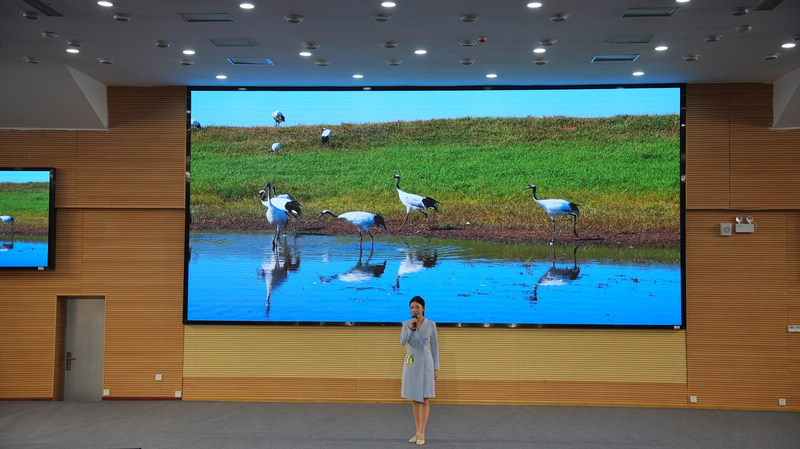 铜仁市开展2026年湿地科普宣传周活动。