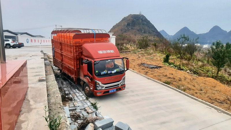 篩選后的斷奶仔兔裝車，這批用於育肥的商品肉兔即將發往重慶市場。