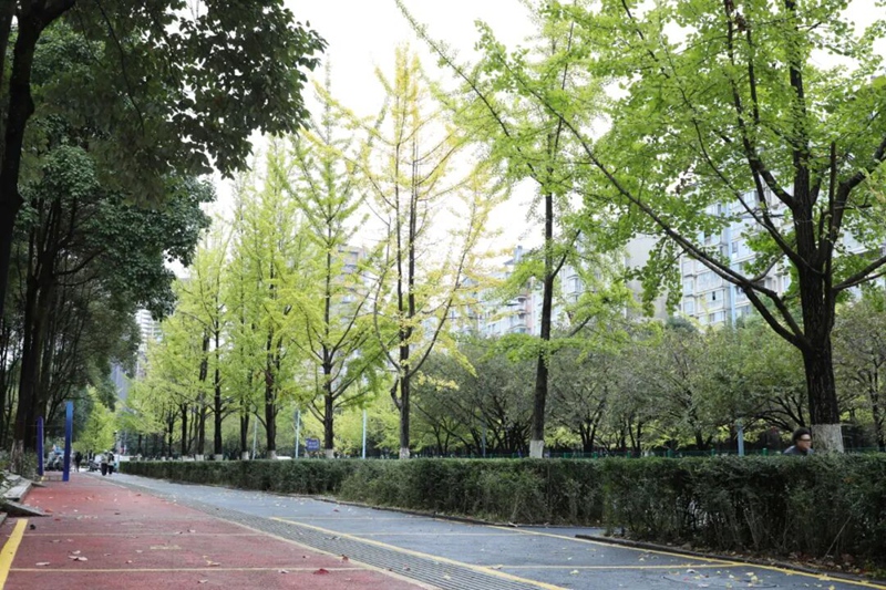 4 觀山湖區綠道.