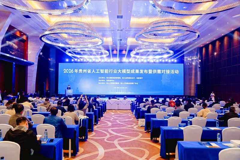 活动现场。主办方供图
