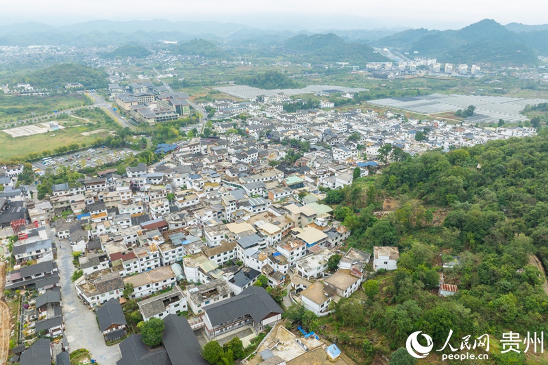 航拍龙井村。人民网 阳茜摄  