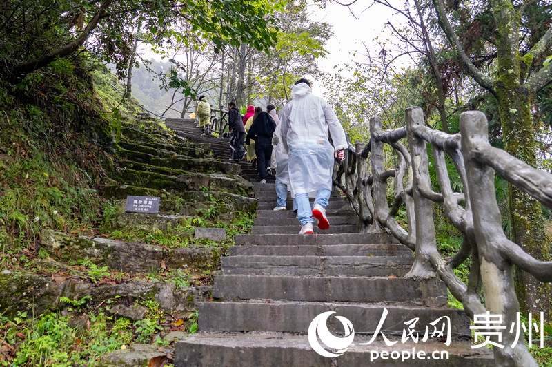 海外嘉宾走进海龙屯遗址。人民网记者 陈洁泉摄