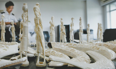 私带河马牙雕入境,违法!